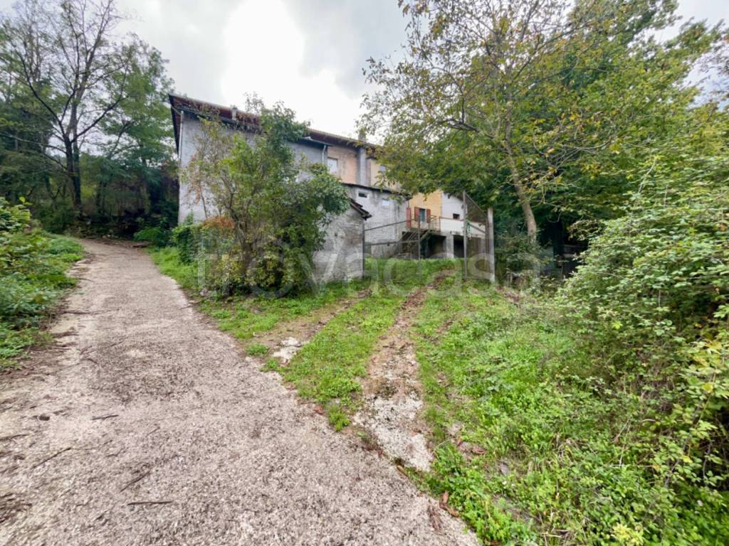 immagine annuncio 11 di 12