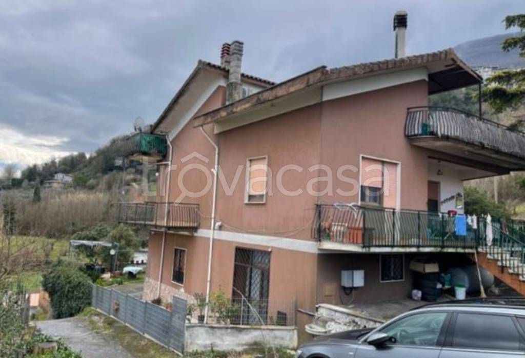 immagine annuncio 1 di 11