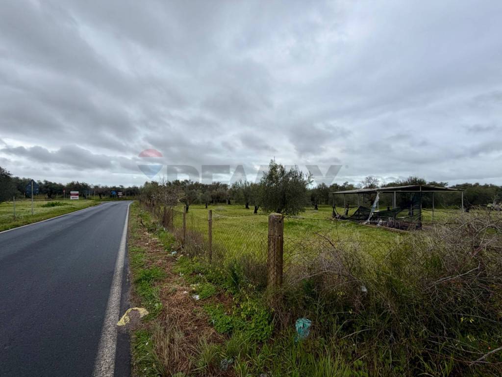 immagine annuncio 2 di 14