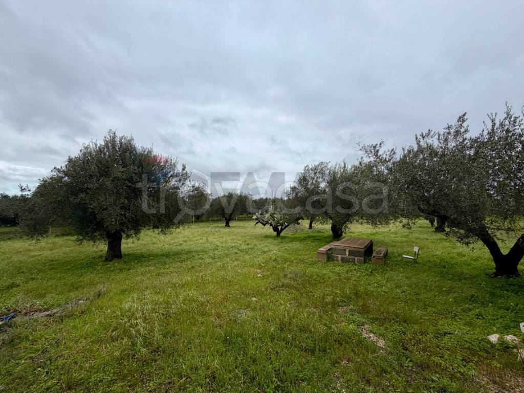 immagine annuncio 6 di 14