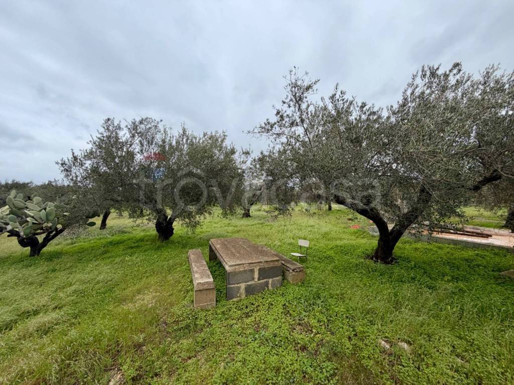 immagine annuncio 7 di 14