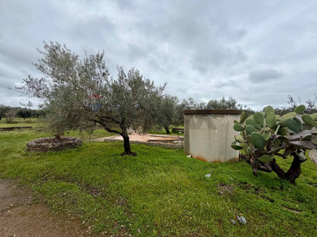 immagine annuncio 8 di 14