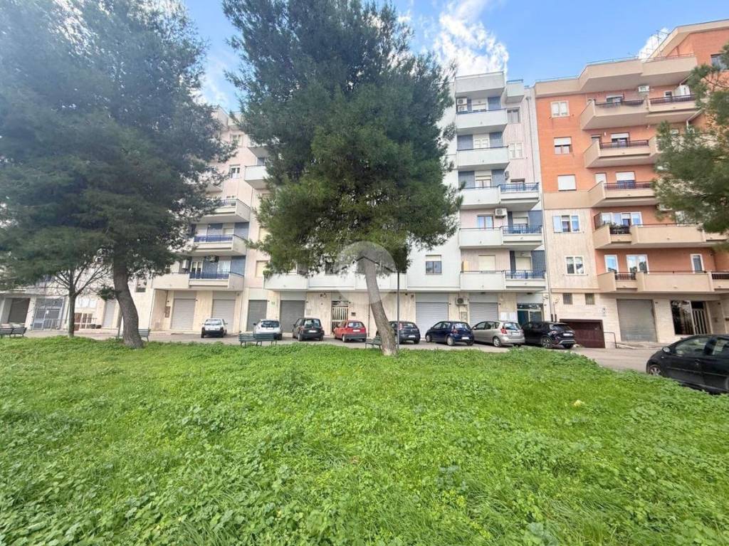 immagine annuncio 9 di 10