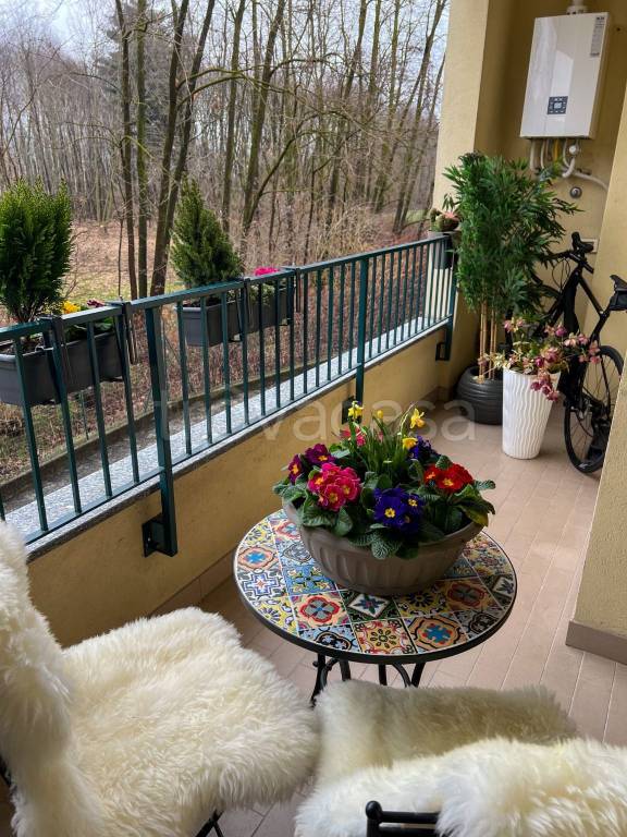 immagine annuncio 3 di 15