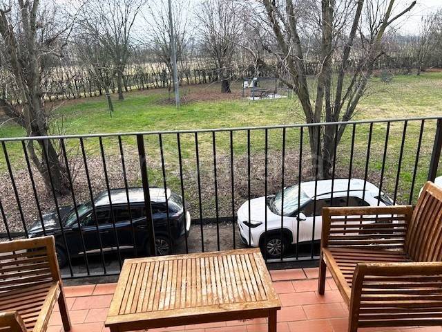 immagine annuncio 5 di 14