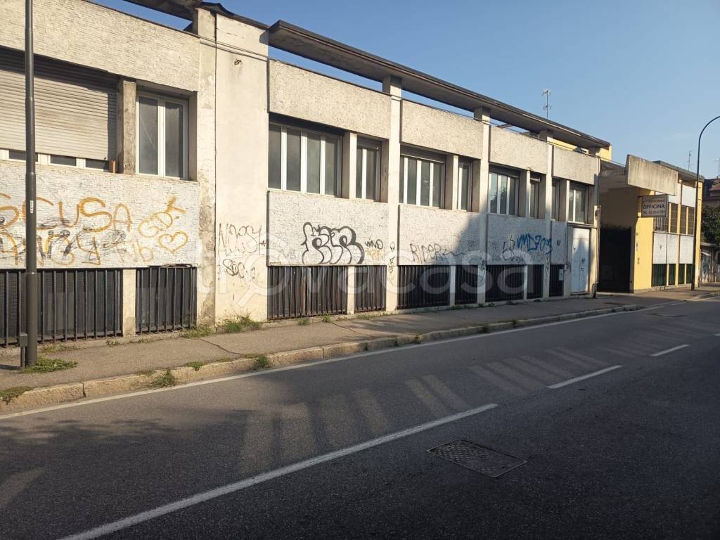 immagine annuncio 11 di 15