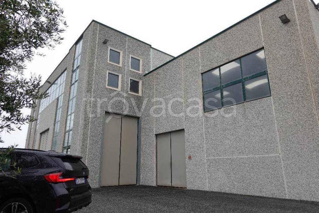 immagine annuncio 11 di 15