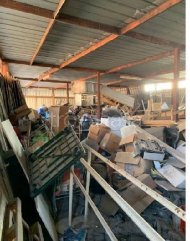 immagine annuncio 2 di 12