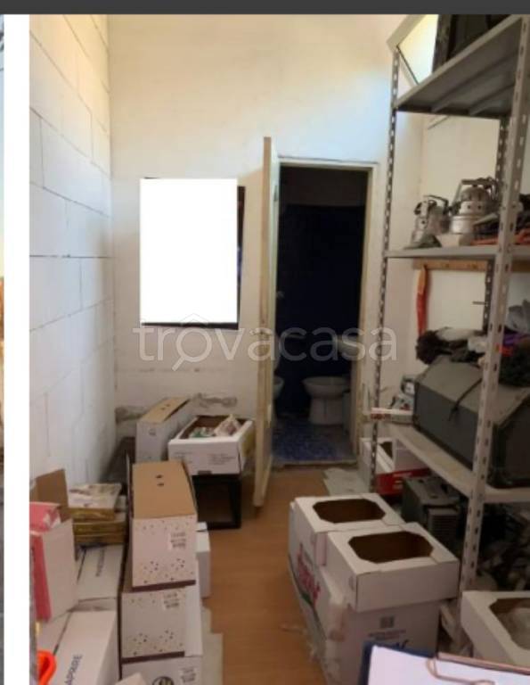 immagine annuncio 4 di 12