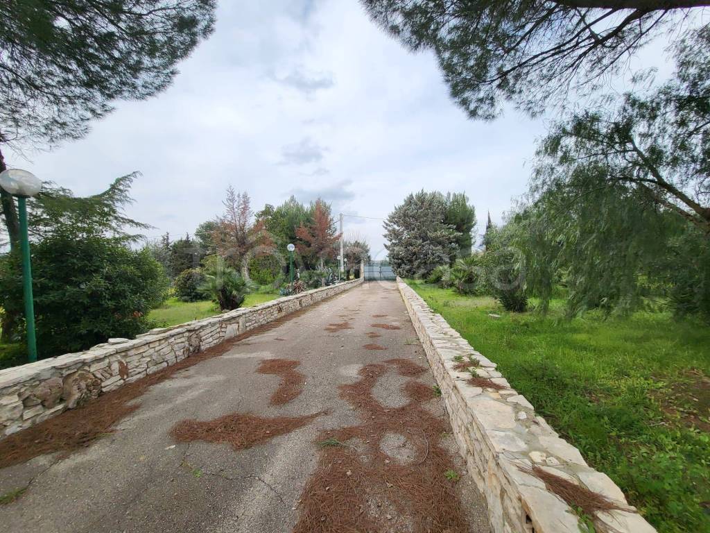 immagine annuncio 9 di 11