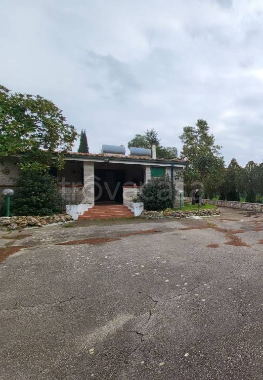 immagine annuncio 10 di 11