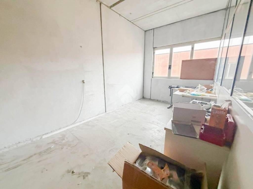 immagine annuncio 5 di 11