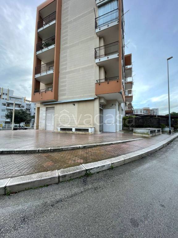 immagine annuncio 1 di 3