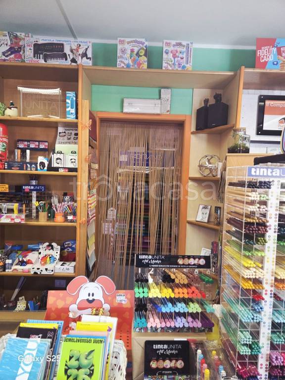 immagine annuncio 2 di 12