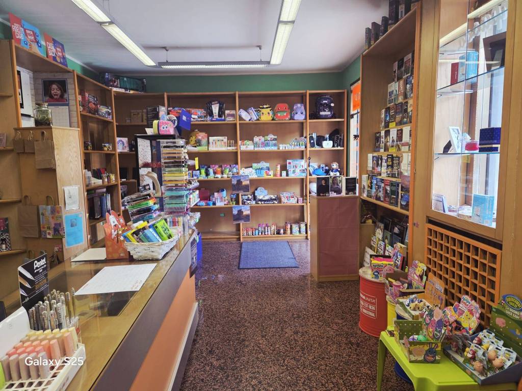 immagine annuncio 3 di 12