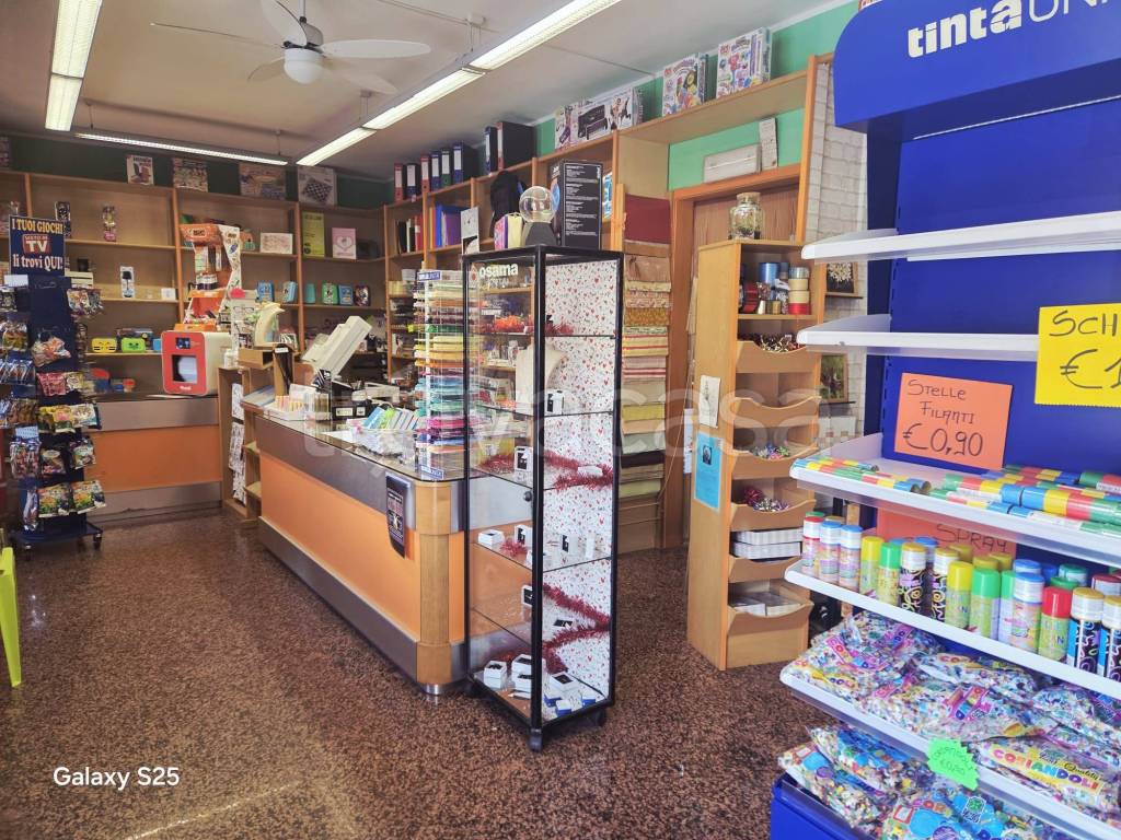 immagine annuncio 4 di 12