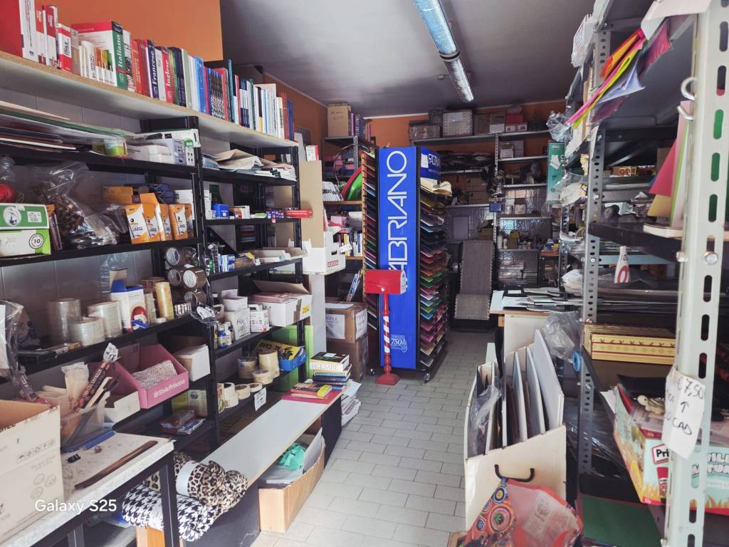 immagine annuncio 5 di 12