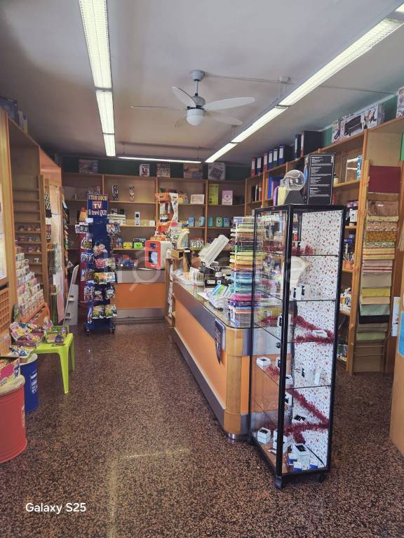 immagine annuncio 10 di 12