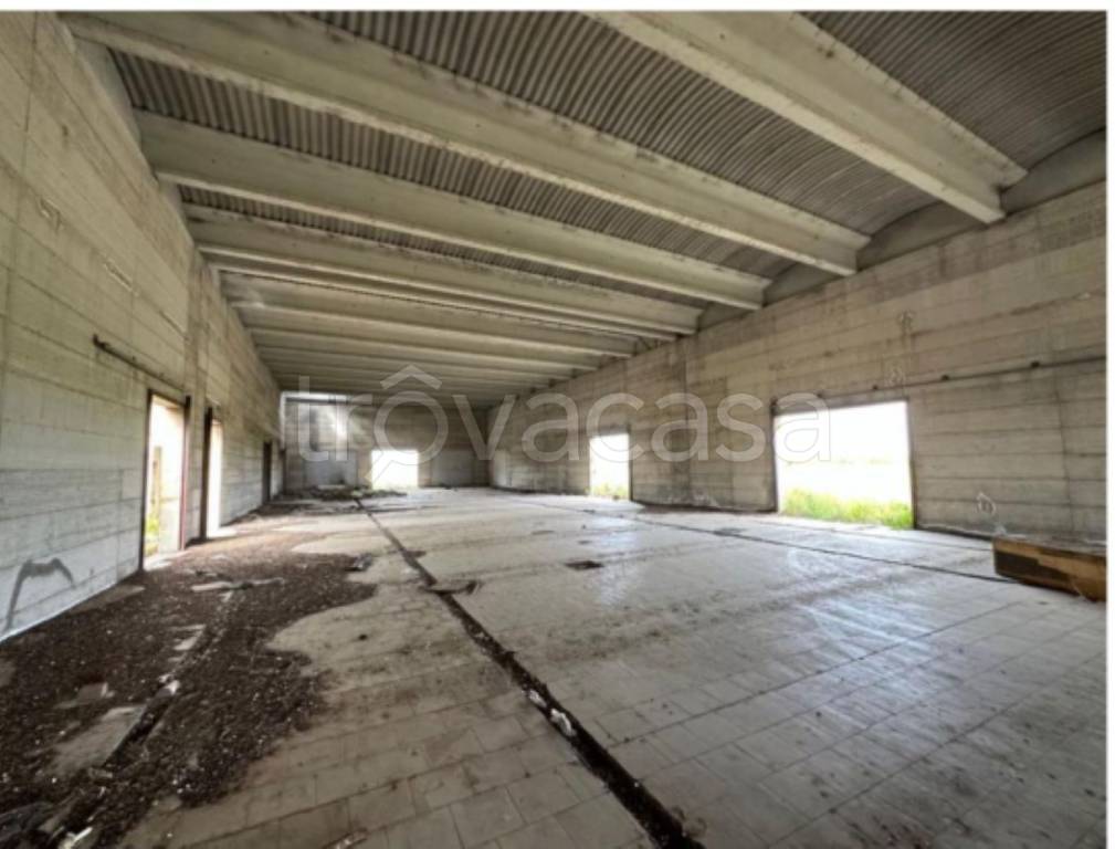 immagine annuncio 6 di 11