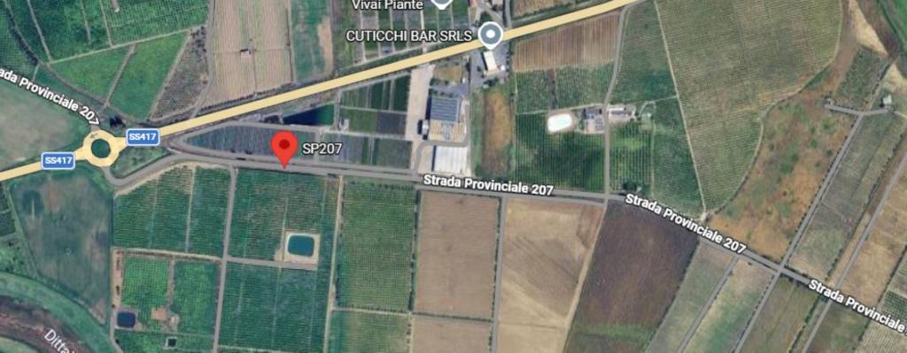 immagine annuncio 9 di 11