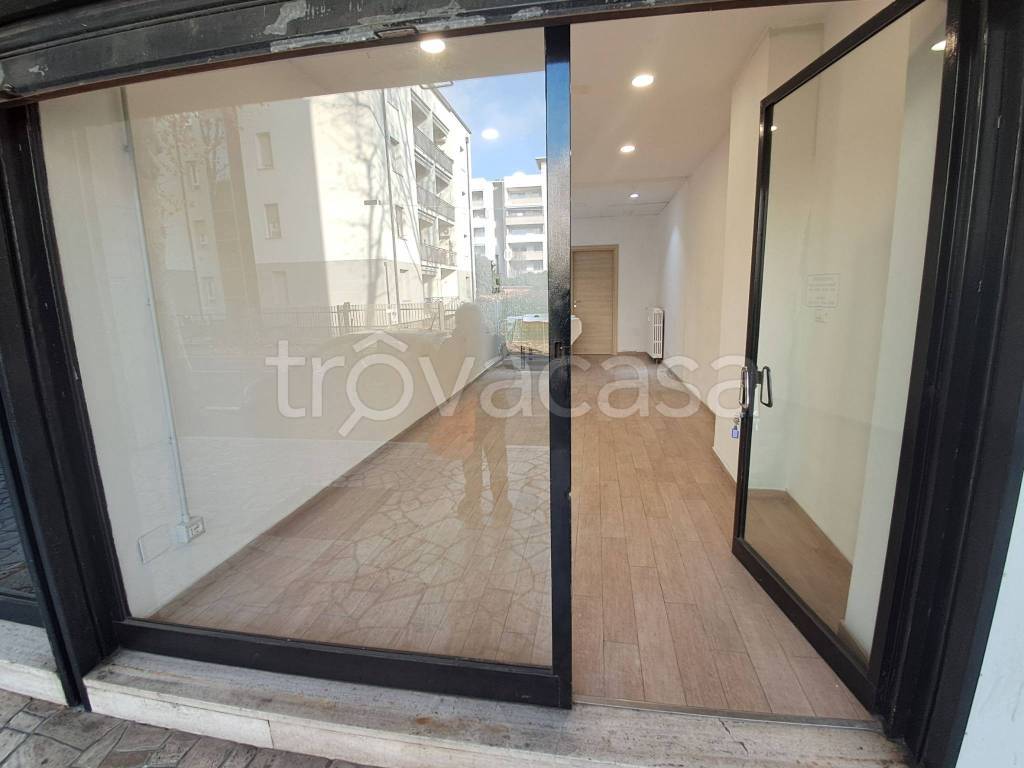 immagine annuncio 6 di 14