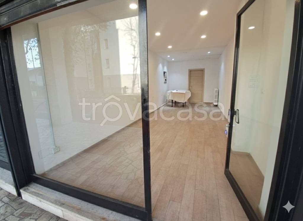 immagine annuncio 9 di 14