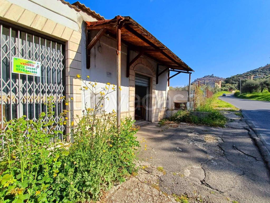 immagine annuncio 10 di 12