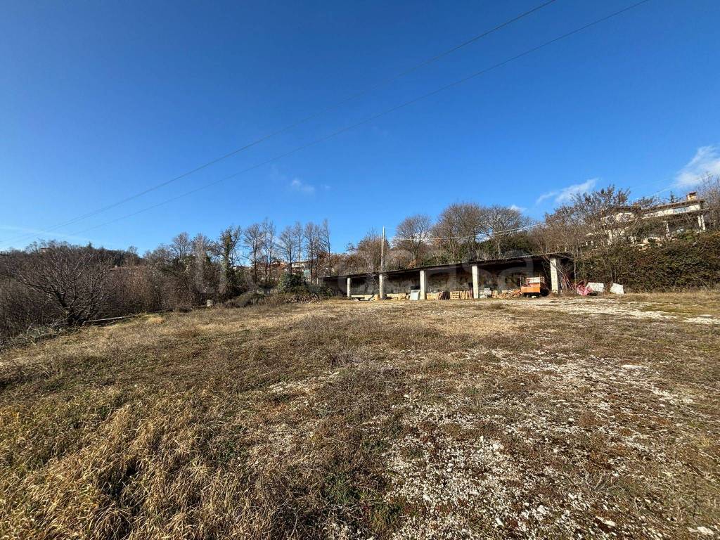 immagine annuncio 2 di 8