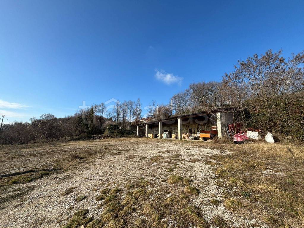 immagine annuncio 4 di 8