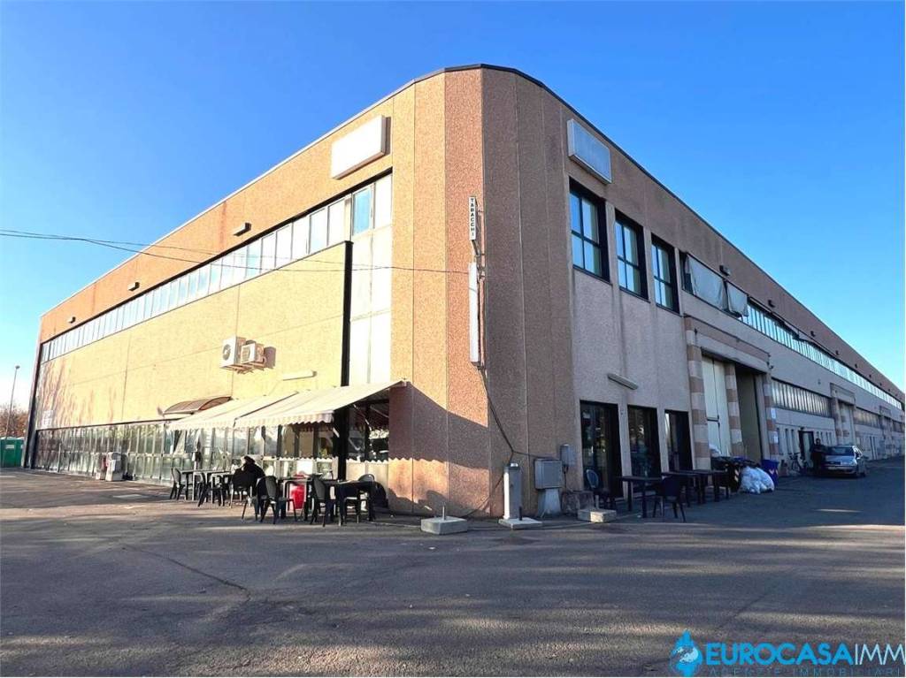 immagine annuncio 12 di 15