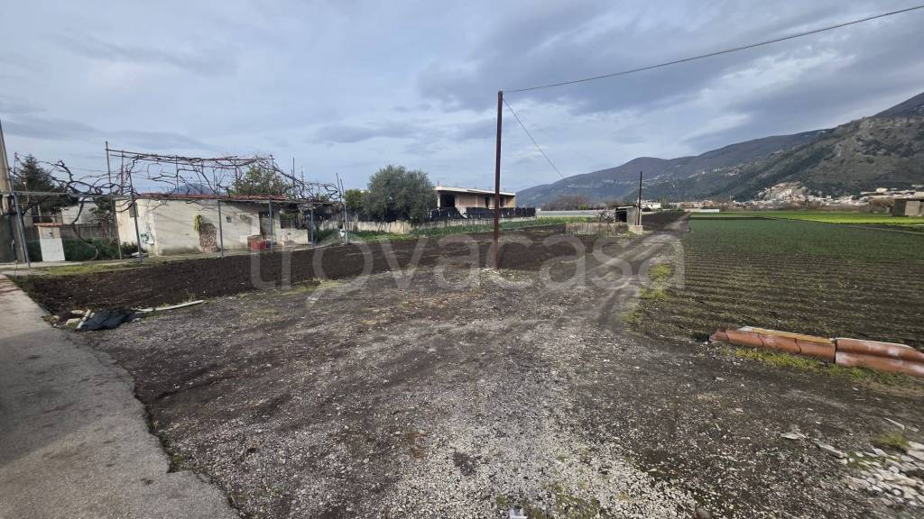 immagine annuncio 1 di 4