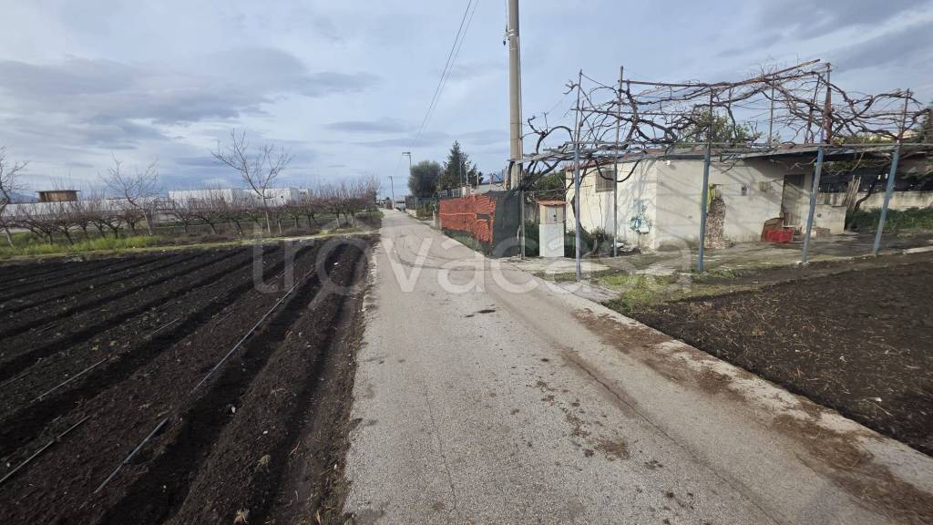 immagine annuncio 3 di 4