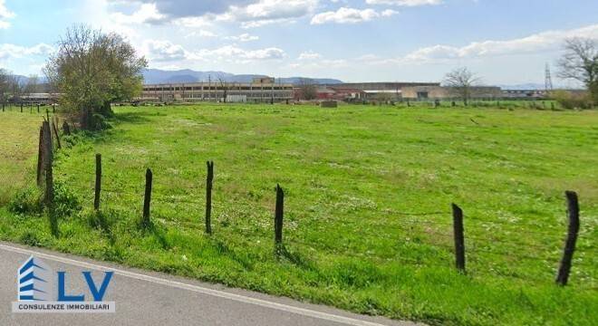 immagine annuncio 4 di 7