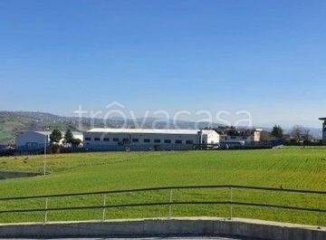 immagine annuncio 6 di 7