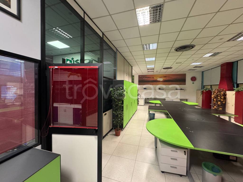 immagine annuncio 9 di 12