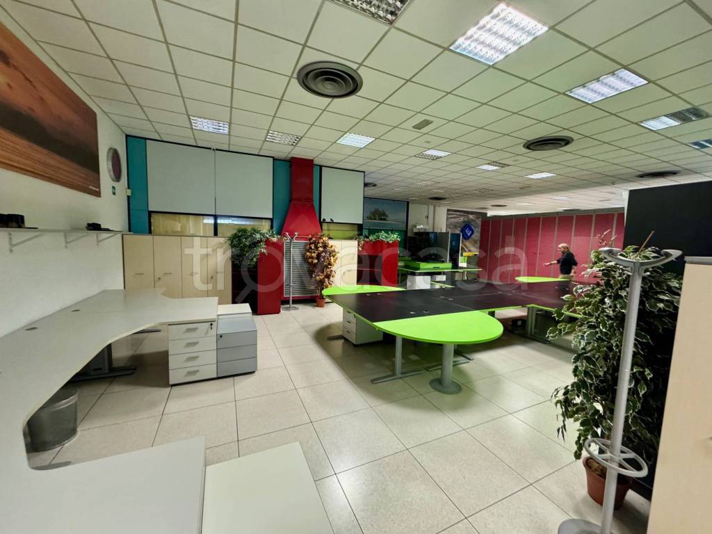 immagine annuncio 4 di 12