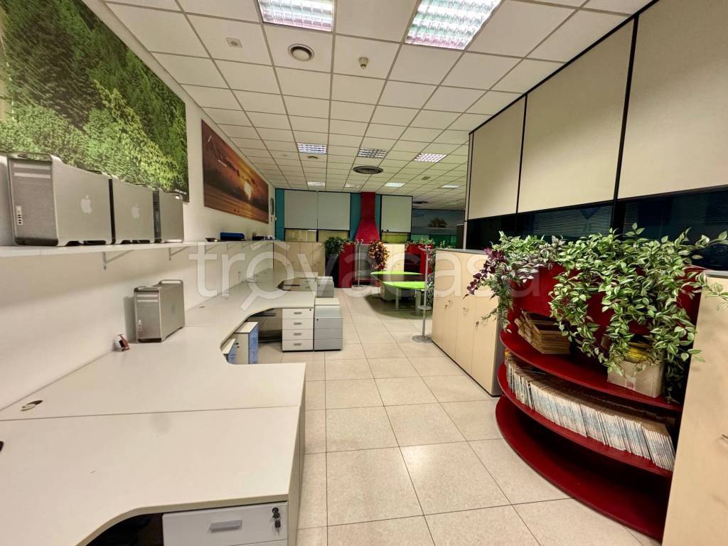 immagine annuncio 10 di 12