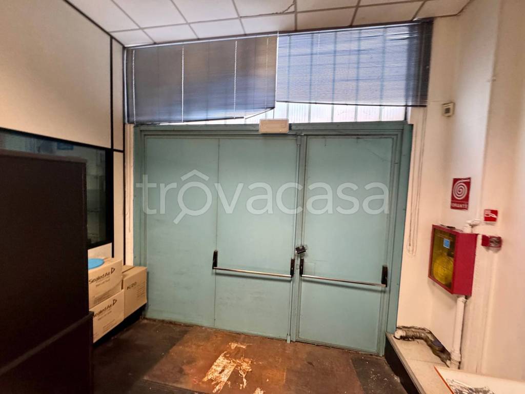 immagine annuncio 5 di 12