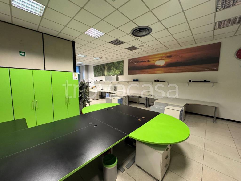 immagine annuncio 11 di 12