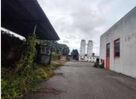 immagine annuncio 2 di 14