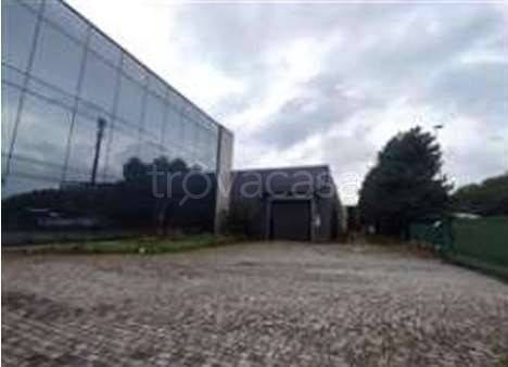 immagine annuncio 4 di 14