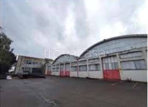 immagine annuncio 5 di 14