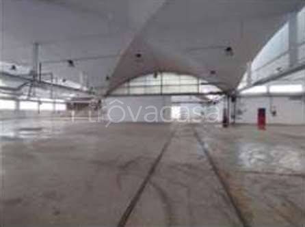 immagine annuncio 6 di 14