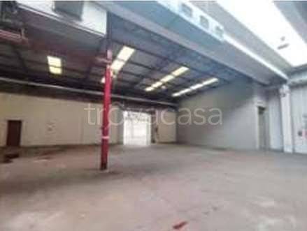 immagine annuncio 9 di 14