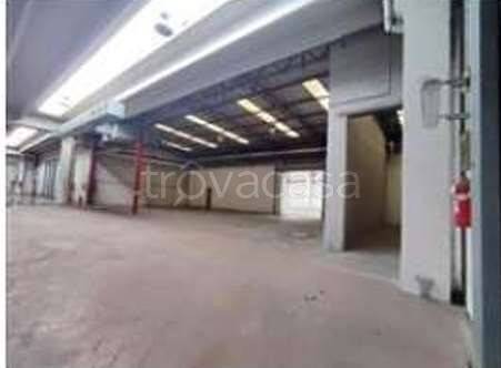 immagine annuncio 10 di 14