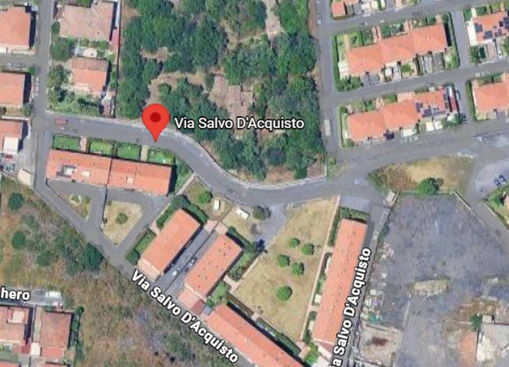 immagine annuncio 5 di 12