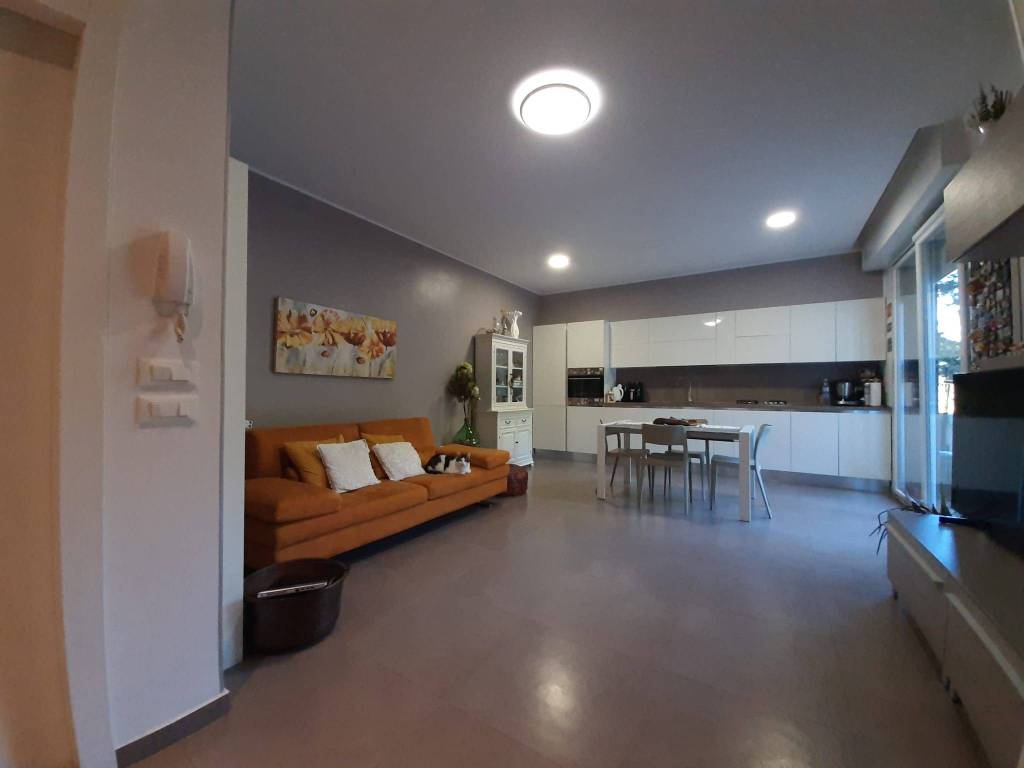 immagine annuncio 7 di 14