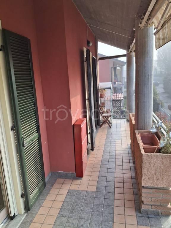 immagine annuncio 9 di 15