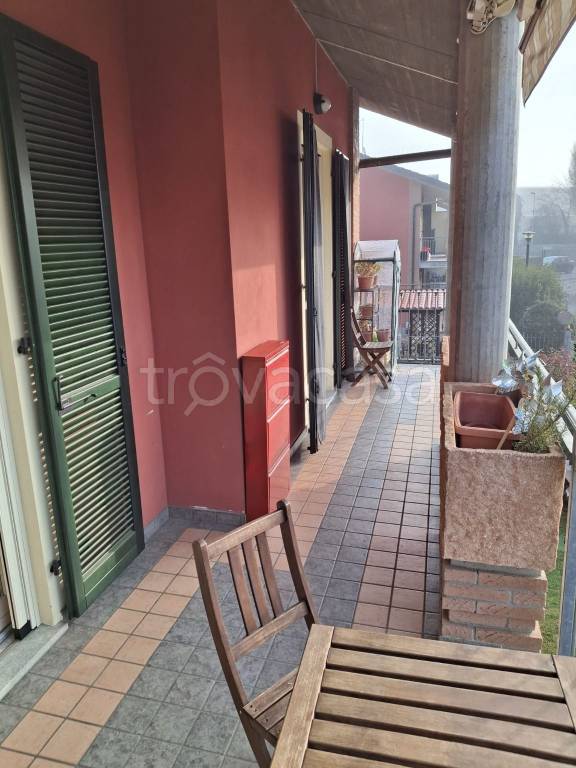 immagine annuncio 6 di 15