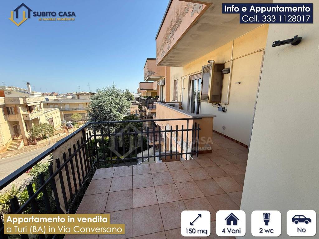 immagine annuncio 12 di 15